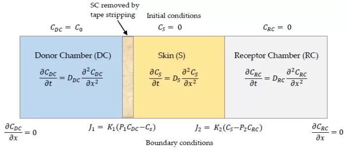 How Tape-Stripping Studies the Barrier — Franz Cell & Layered-Skin Model Schematic of a three-layer Franz diffusion cell model used with tape-stripping to quantify drug/active distribution across stratum corneum and deeper layers
